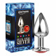 Plug Anal Com Pedra Silver Pequeno - ShopSensual